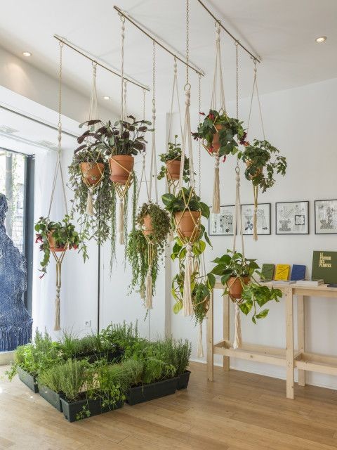 10 Desain Indoor Garden Kece Untuk Ciptakan Suasana Sejuk Dalam Rumah