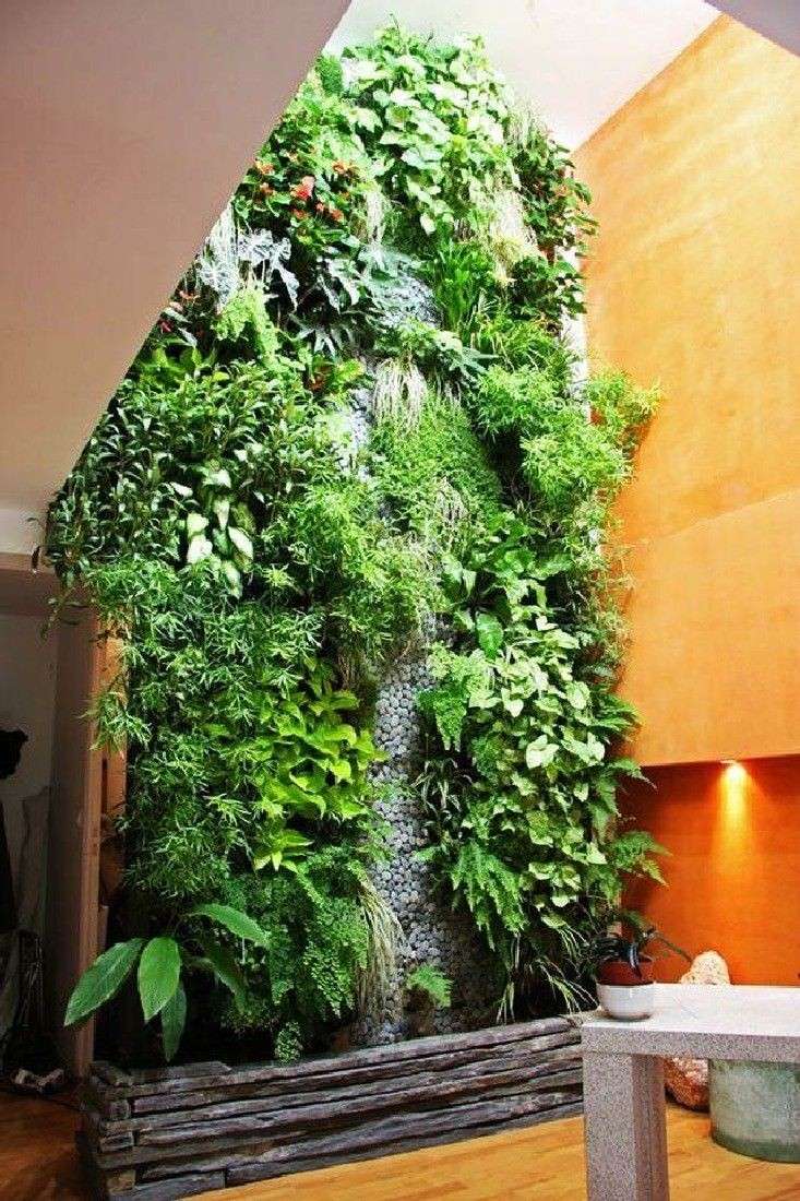 10 Desain Indoor Garden Kece Untuk Ciptakan Suasana Sejuk Dalam Rumah