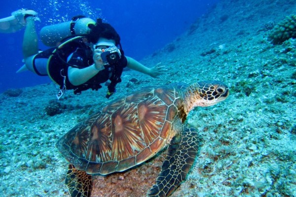 Ini Alasan Penyelam Mancanegara Tertarik Eksplorasi Laut Indonesia