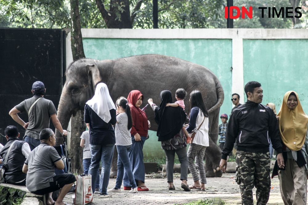 Bandung Zoo Sediakan Berbuka Puasa Bareng Satwa, Cukup Bayar Rp85 Ribu