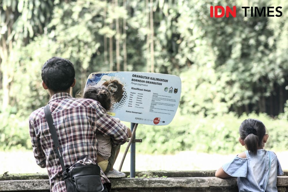 Promosi Pilpres 2019, Kebun Binatang Bandung Ramai Pengunjung