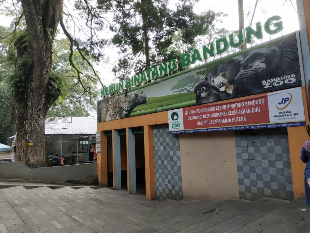 Promosi Pilpres 2019, Kebun Binatang Bandung Ramai Pengunjung