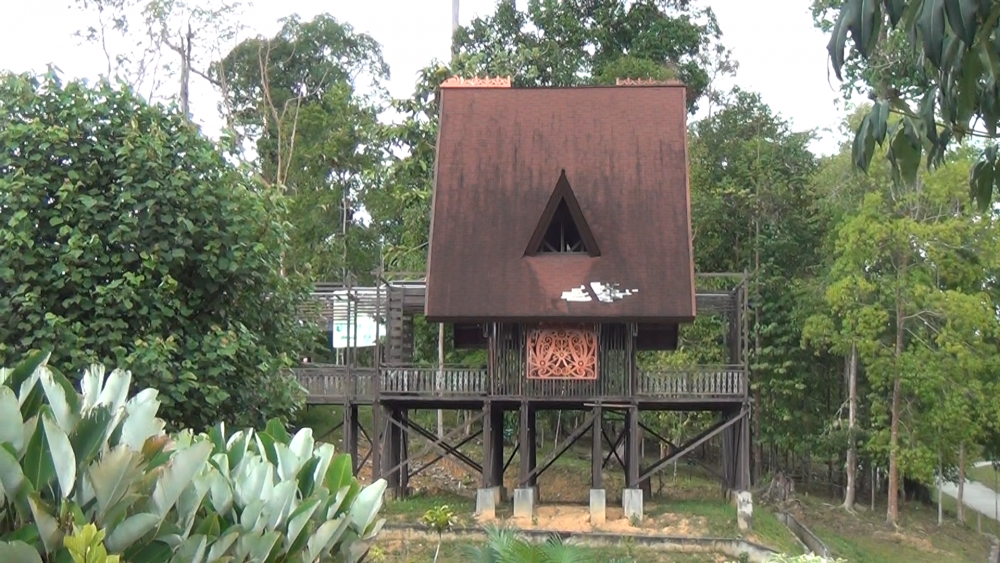 Liburan Seru di Kebun Raya Balikpapan, Hutan Hujan Tropis Alami 