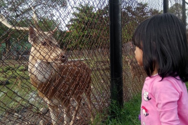 7 Taman Di Medan Yang Asyik Untuk Bersantai