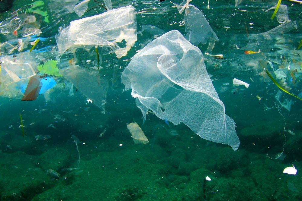 Sebenarnya Ini 7 Benda yang Paling Mencemari Laut, Ayo Mulai Kita Stop