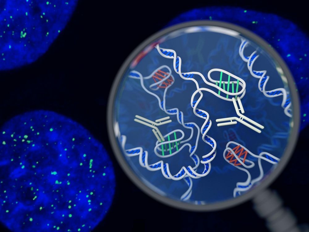 Dna Hewan Yang Paling Mirip Dengan Manusia - DNA Informasi