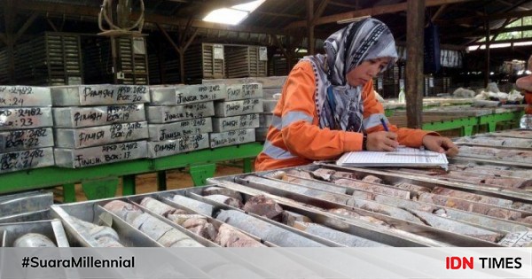 Gaji Hingga Rp80 Juta 10 Pekerjaan Berupah Tertinggi Di Indonesia Gaji Hingga Rp80 Juta 10 Pekerjaan Berupah Tertinggi Di Indonesia