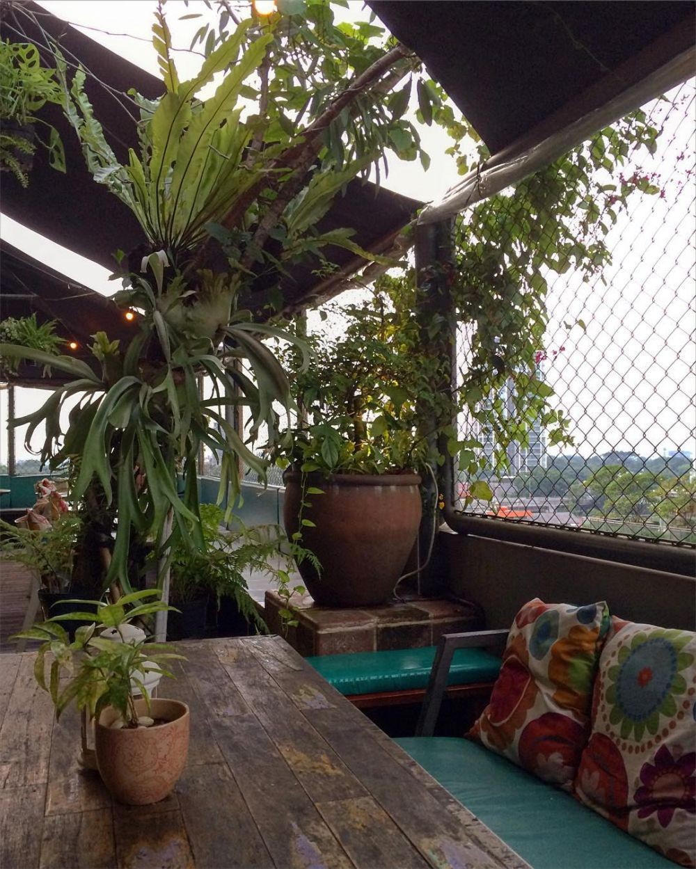 Rooftop- FJ on 7 Cafe