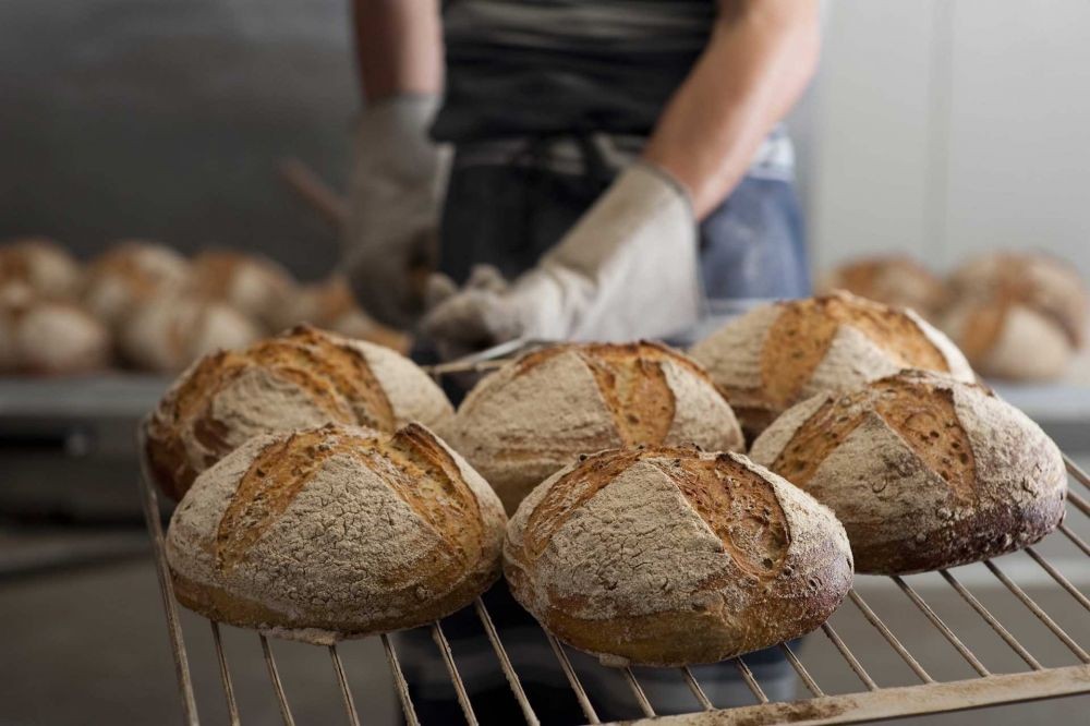 Resep dan Cara Membuat Roti yang Empuk, Bisa Seenak Toko Mahal