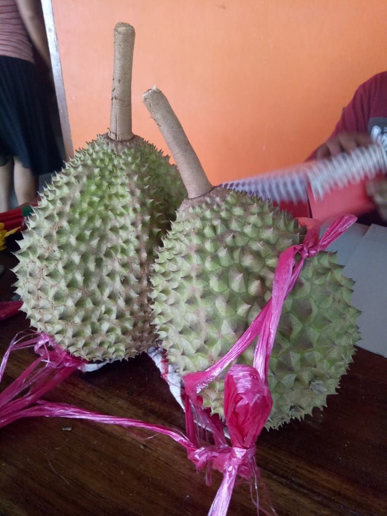Menikmati Durian Tanpa Biji dari Banyuwangi