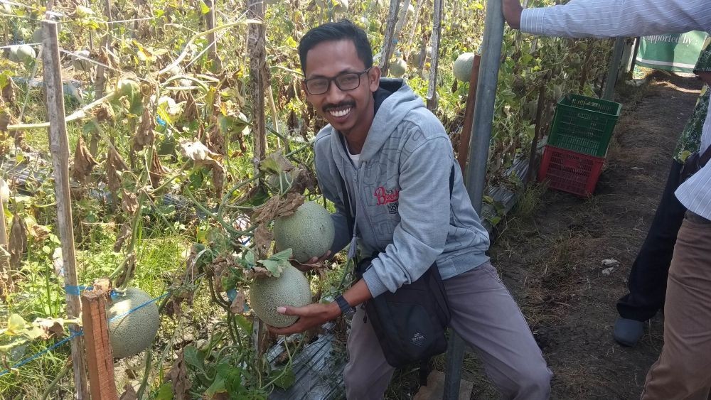 Gubernur Jatim Minta Petani Tuban Bisa Ciptakan Inovasi Bentuk Melon 