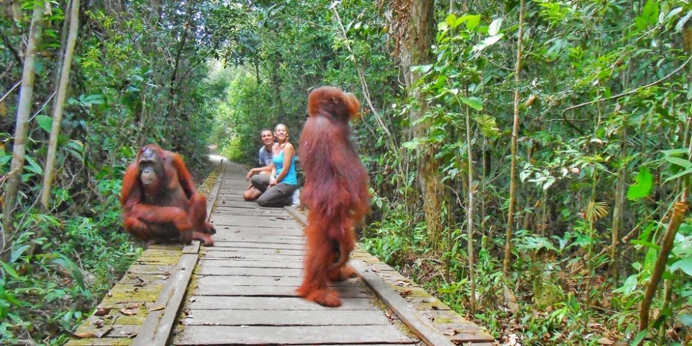 10 Tempat Wisata di Kalimantan Tengah, Calon Ibu Kota Baru Indonesia