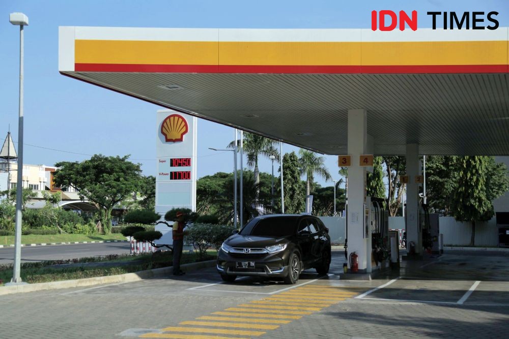 5 Jenis Shell yang Ada di Indonesia, Mana yang Cocok?