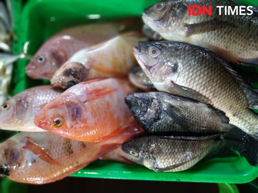 Melihat Pasar Ikan Balekambang di Solo, Daerah yang Tidak Punya Laut