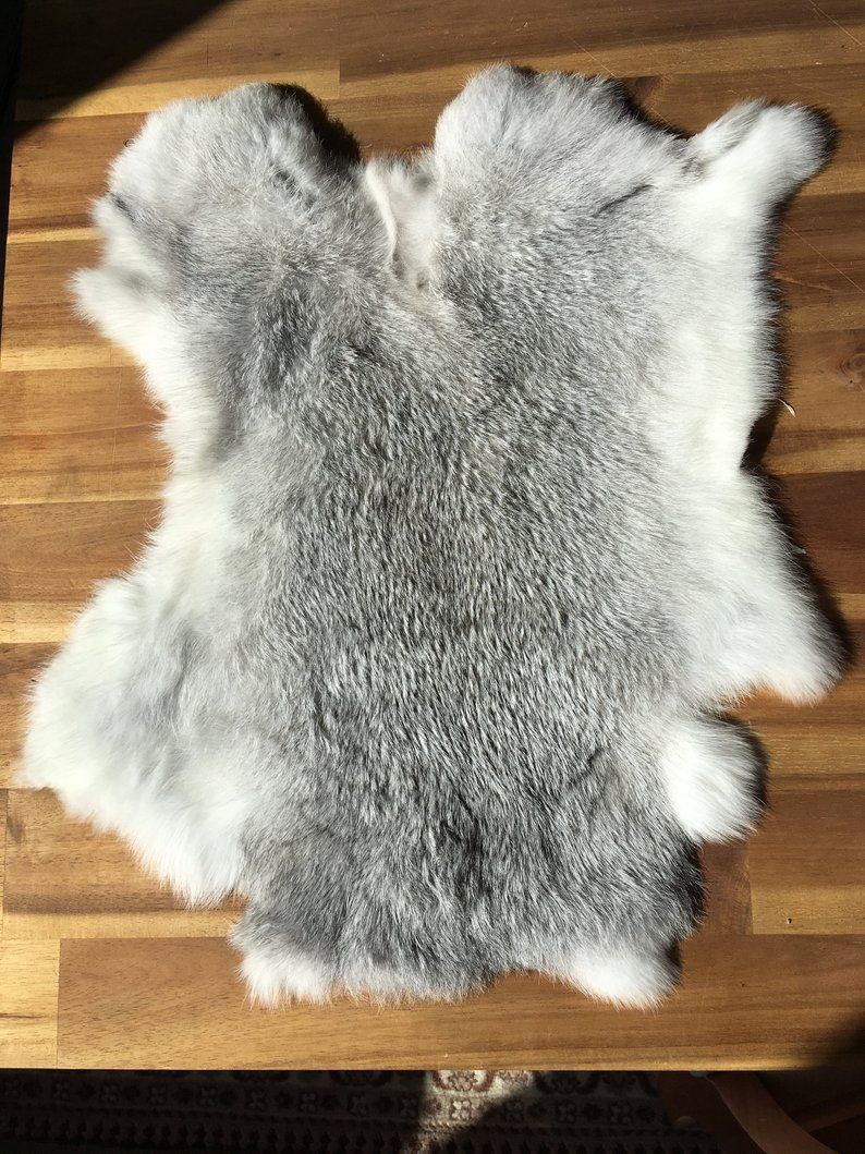 10 Fakta Eksploitasi Bulu Hewan di Dunia, Mereka Benar-benar Disiksa!