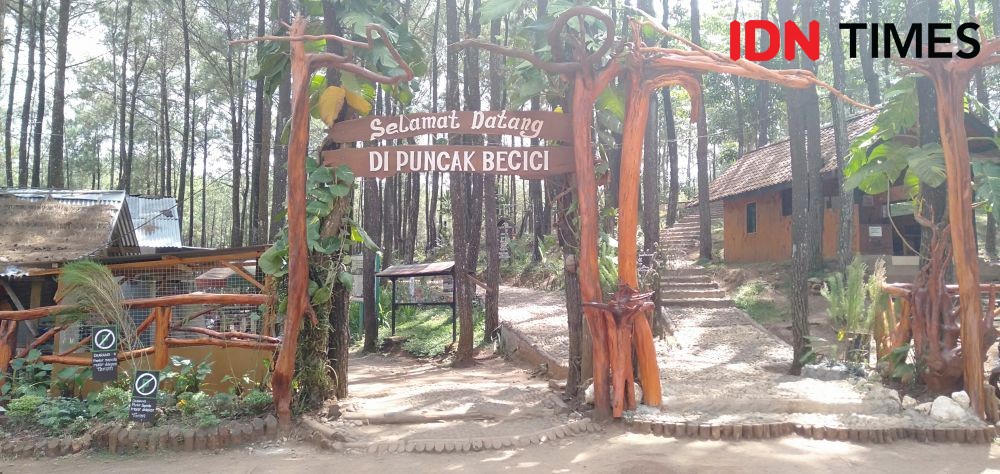 Wisata di Dlingo, Spot Instagramable Terbaru di Yogyakarta