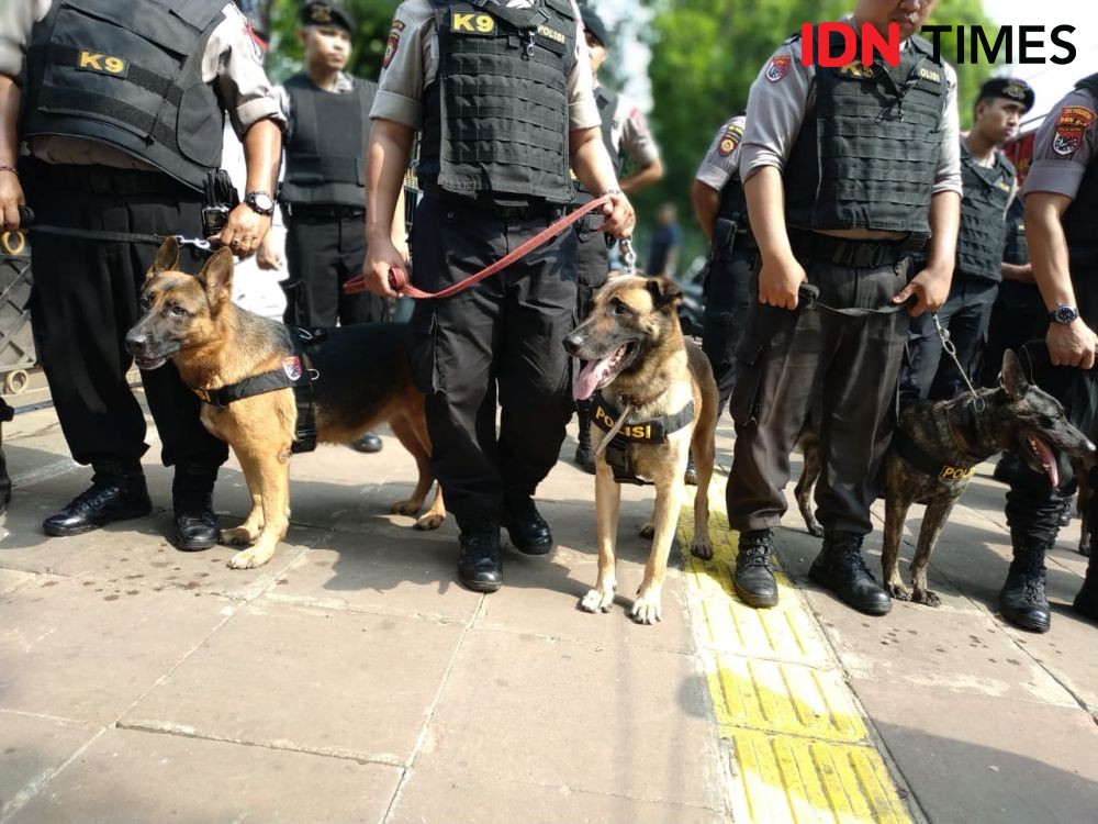 Viral! Dua Orang di Tangerang Siksa Anjing, Natha Satwa Lapor Polisi 