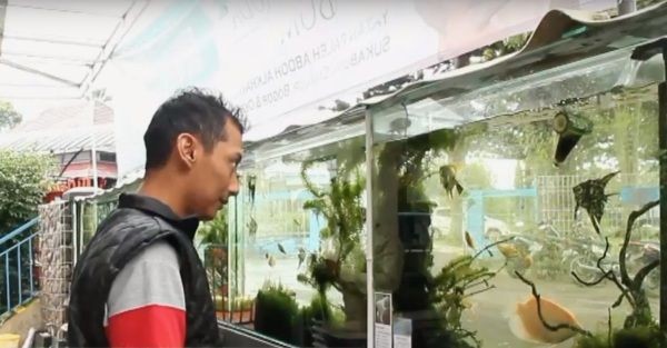 Keren dan Unik, Masjid di Sukabumi Ini Berpagar Aquarium