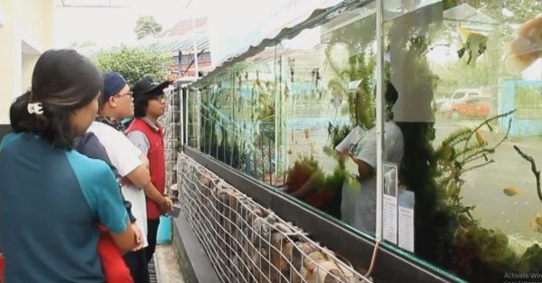 Keren dan Unik, Masjid di Sukabumi Ini Berpagar Aquarium