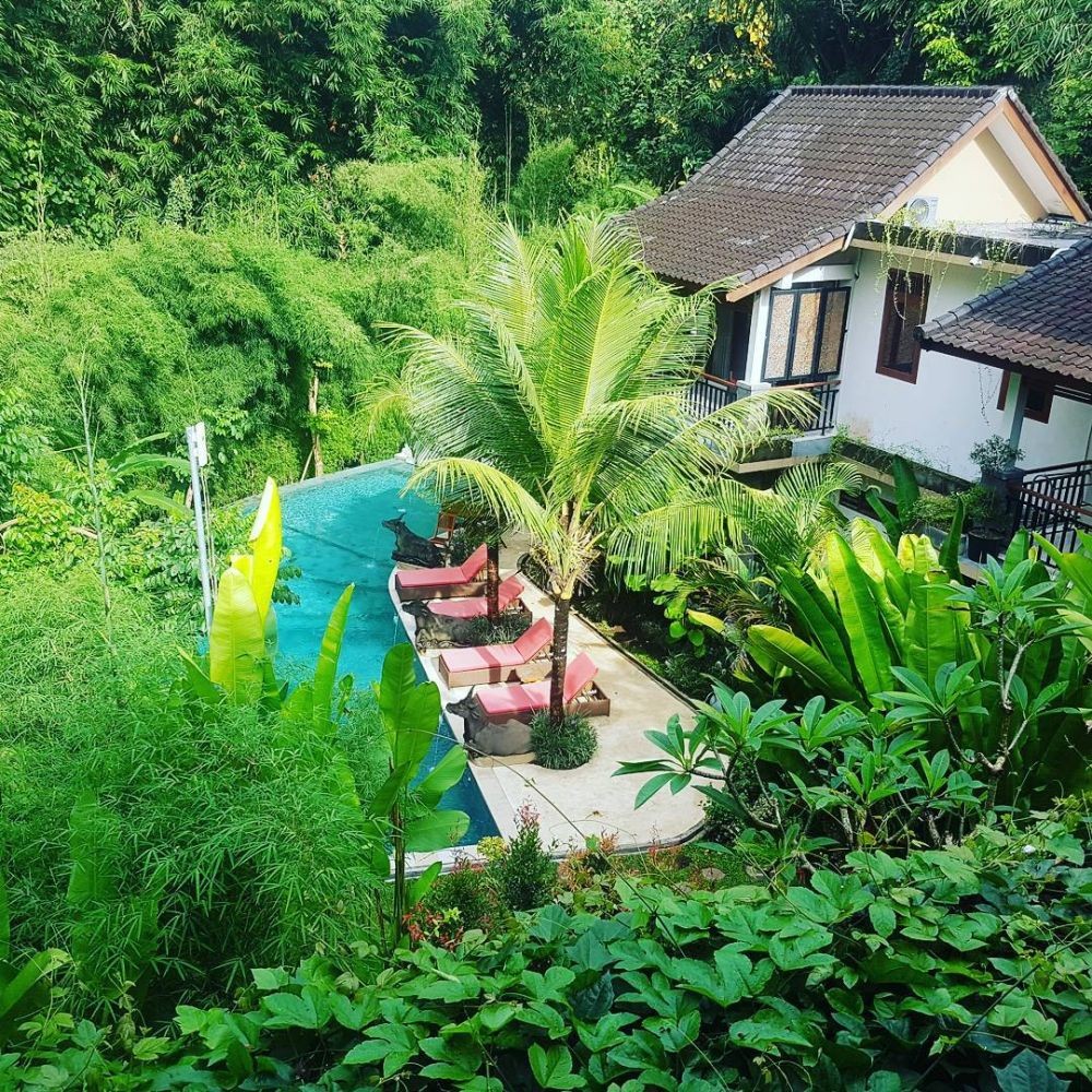 7 Rekomendasi Cottage di Ubud Bali, Cocok untuk Menenangkan Diri