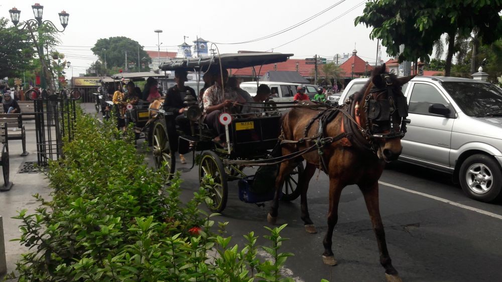 Pemkot Yogyakarta Ingatkan Wisatawan Tak Mampir ke Malioboro 