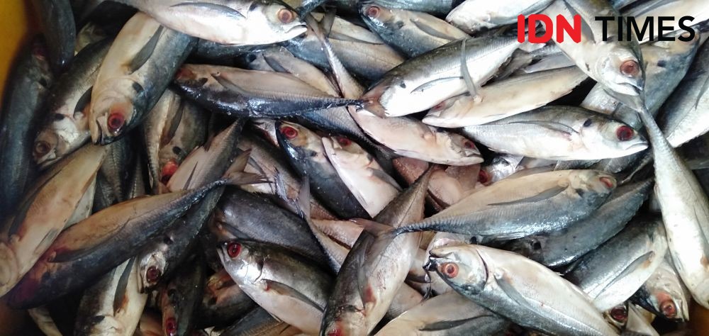 Gelombang Pasang Terjadi Pantai Baron, Hancurkan Pelelangan Ikan 