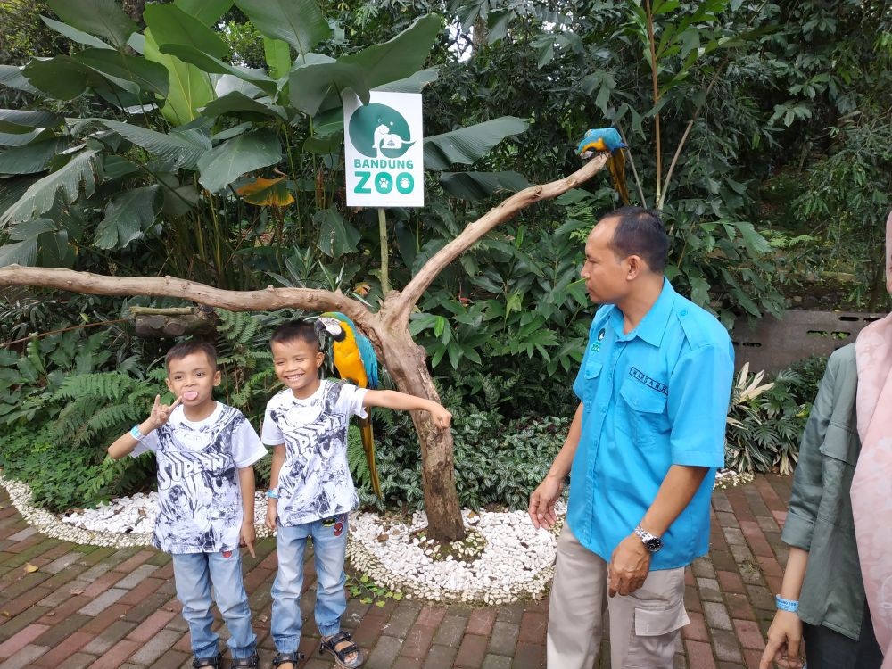 Pemkot Belum Izinkan Bandung Zoo dan Kolam Renang Buka untuk Umum 