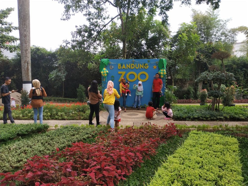 Bingung Liburan di Akhir Tahun? Yuk Datang ke Kebun Binatang Bandung