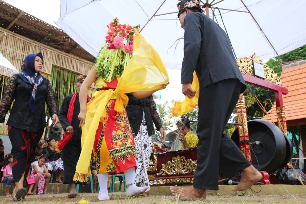 Tujuh Hari Digelar, Tarian Adat Seblang Olehsari Warnai Banyuwangi