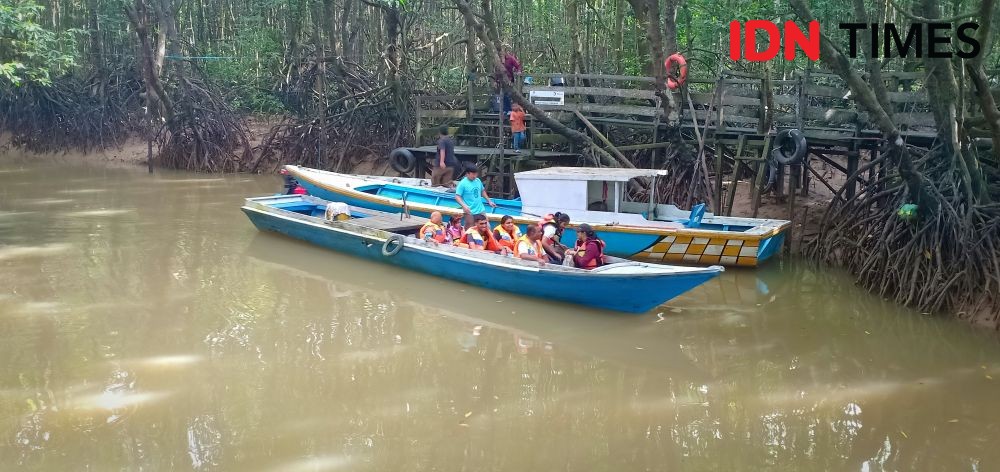 Ikhlas Lestarikan Mangrove, Terima Penghargaan Kalpataru Dari Presiden