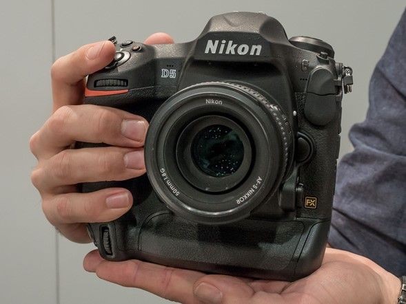 Ini 7 Rekomendasi Kamera Terbaik untuk Fotografi Alam Liar