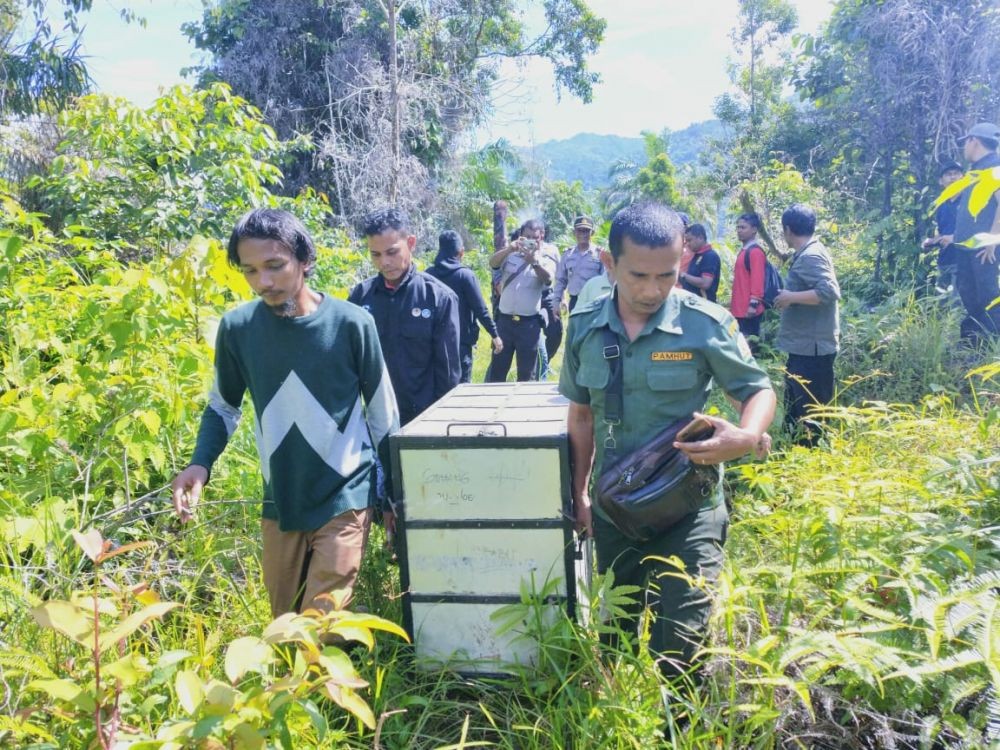 Dua Beruang Madu Terkena Jeratan Berhasil Dievakuasi