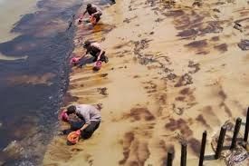 Gugatan Warga pada 6 Lembaga Negara, Kasus Pencemaran Teluk Balikpapan