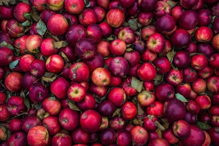 Bisa Bikin Sakit, 10 Kesalahan Sarapan yang Masih Sering Dilakukan
