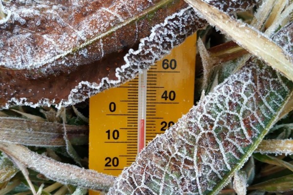 Catat! Tips Buat Kamu Agar Bisa Melihat dan Menikmati Salju di Dieng