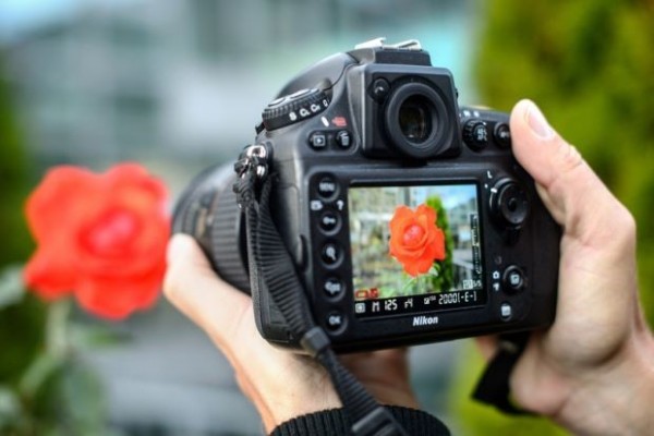 10 Kamera Dslr Untuk Fotografer Pemula Paling Hemat Budget Di 2019 Idn Times Jabar