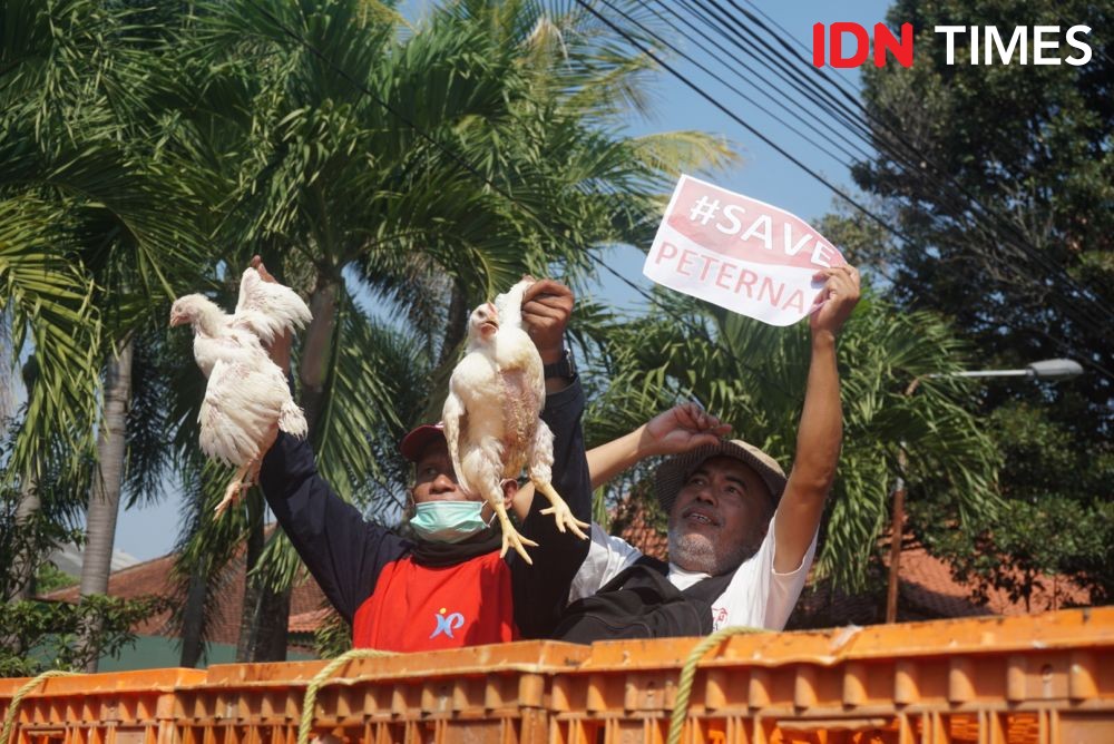 Bagi-bagi Ayam Gratis di Yogyakarta Berujung Ricuh