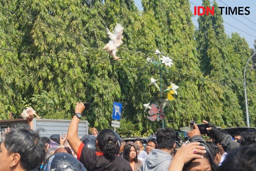 Bagi-bagi Ayam Gratis di Yogyakarta Berujung Ricuh