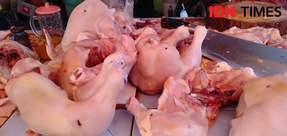 Harga Ayam Broiler Jatuh dan Dibagi Gratis, Pedagang Tidak Terpengaruh