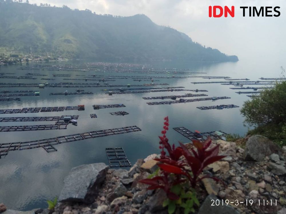 Rapat dengan Jokowi, Edy Rahmayadi Bahas Pencemaran Danau Toba 
