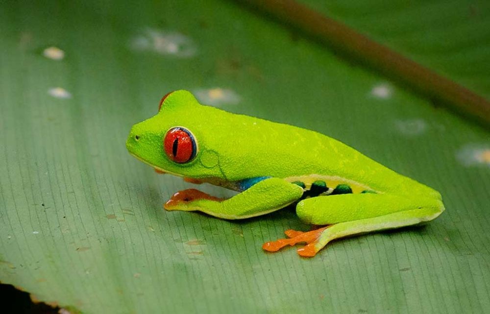 4 Fakta Unik Iklim Tropis  Beruntungnya Jadi Orang Indonesia  