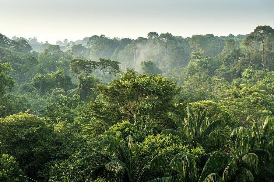 4 Fakta Unik Iklim Tropis  Beruntungnya Jadi Orang Indonesia 
