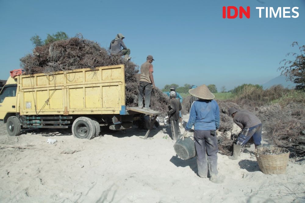 Sampah Impor Desa Bangun, Berkah di Antara Mara Bahaya