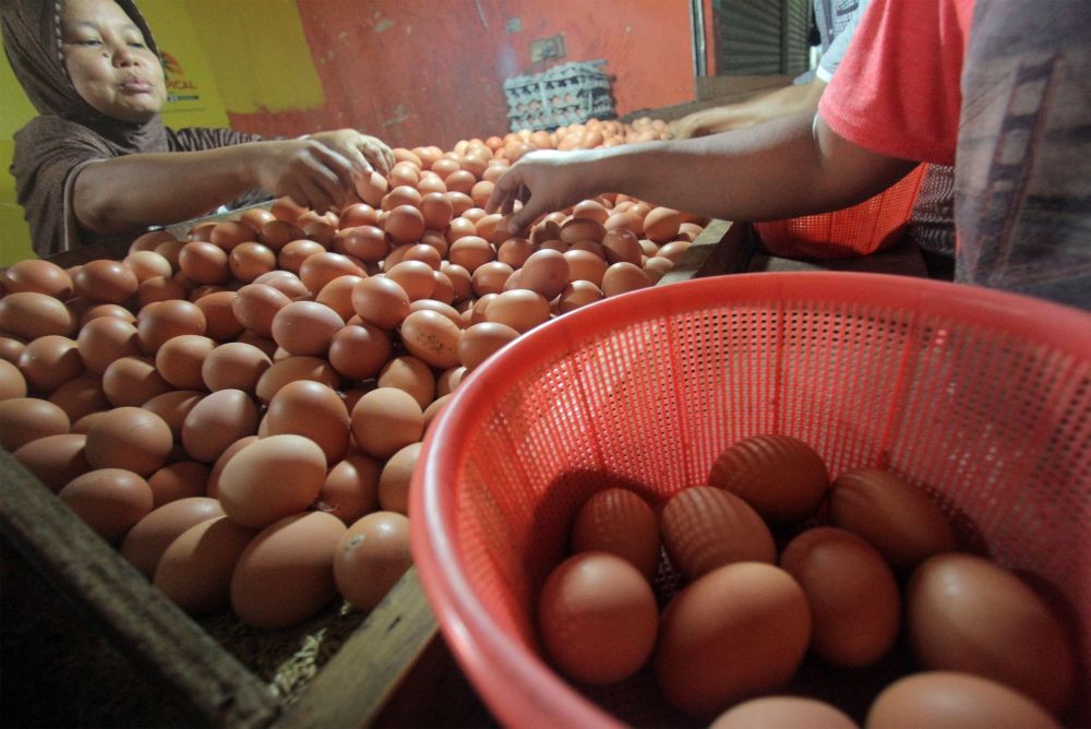 Harga Telur Ayam Ras Picu Angka Inflasi Bulan Mei