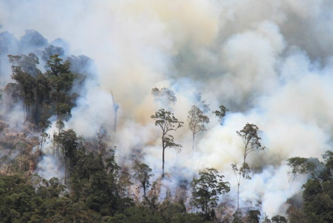 Jokowi Meradang, 4 Pejabat Ini Rame-Rame Pantau Kebakaran Hutan Riau