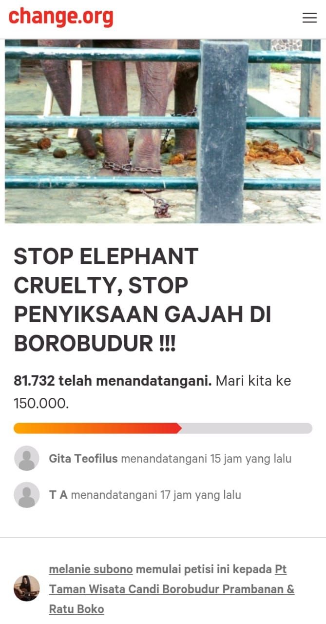 Saya Sedih Melihat Penderitaan Gajah di Candi Borobudur