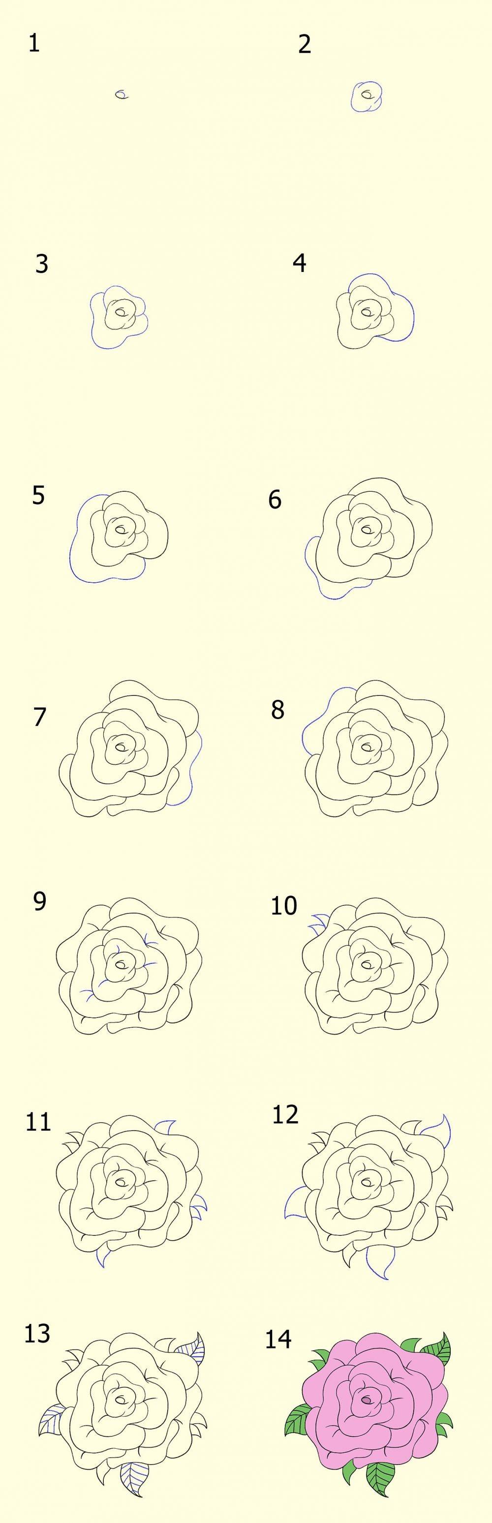 3 Cara Menggambar Sketsa Bunga  yang  Simple dan Mudah  Ditiru