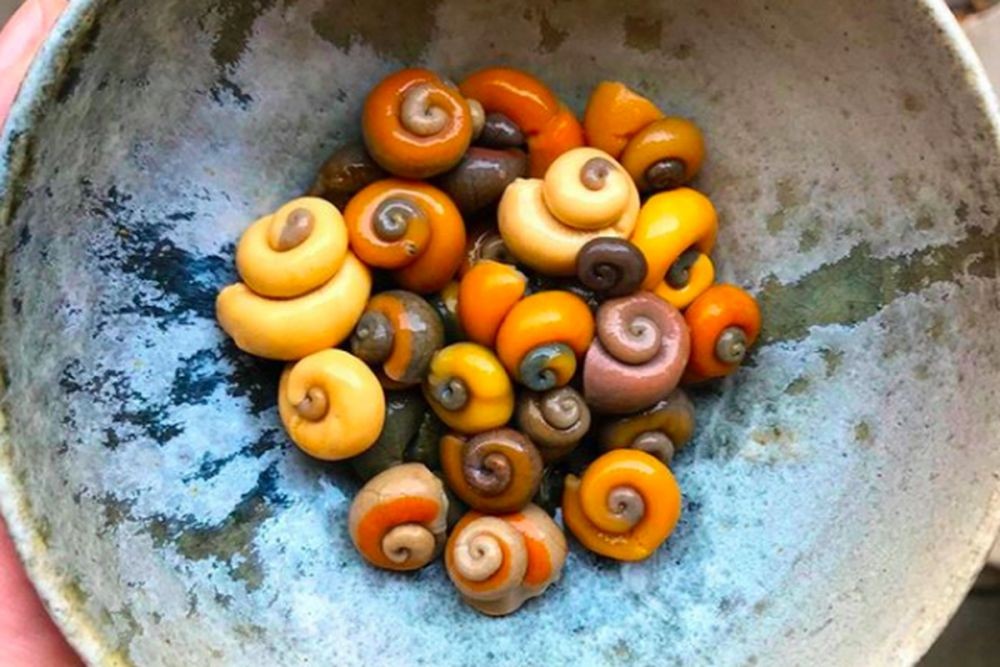 10 Restoran Terbaik di Dunia, Pengalaman Rasa yang Harus Kamu Coba!