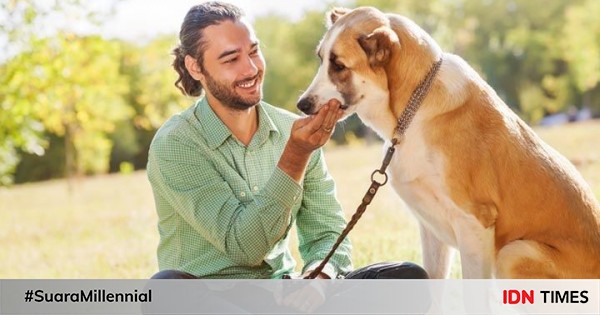 7 cara anjing peliharaan memperpanjang umurmu, bikin makin sayang ya!