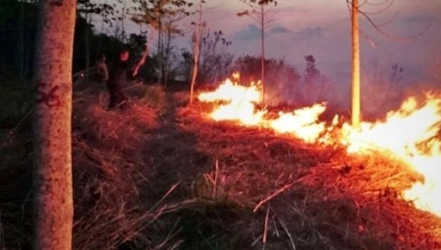 Kebakaran Gunung Panderman, Tak Ada Pendaki di Jalur Pendakian 